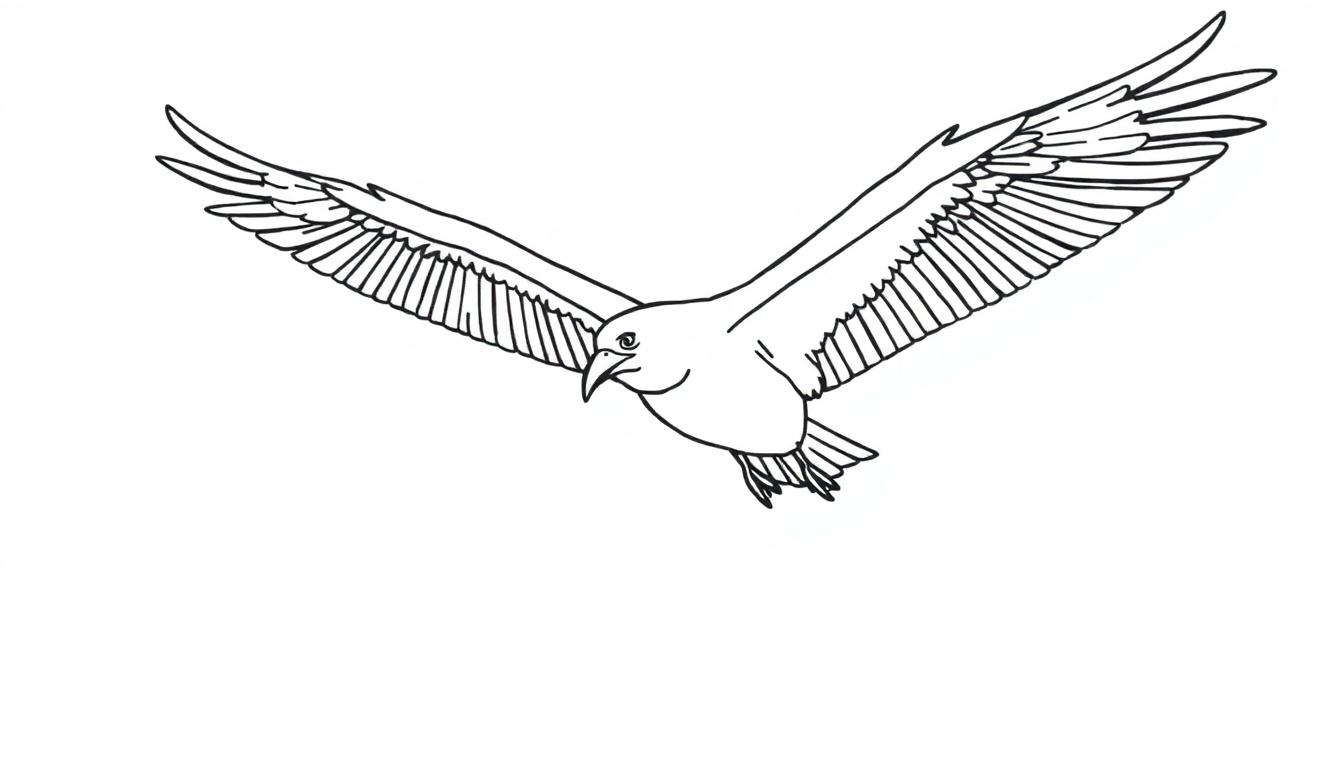 Linienzeichnung eines Albatros mit ausgebreiteten Flügeln im Flug.