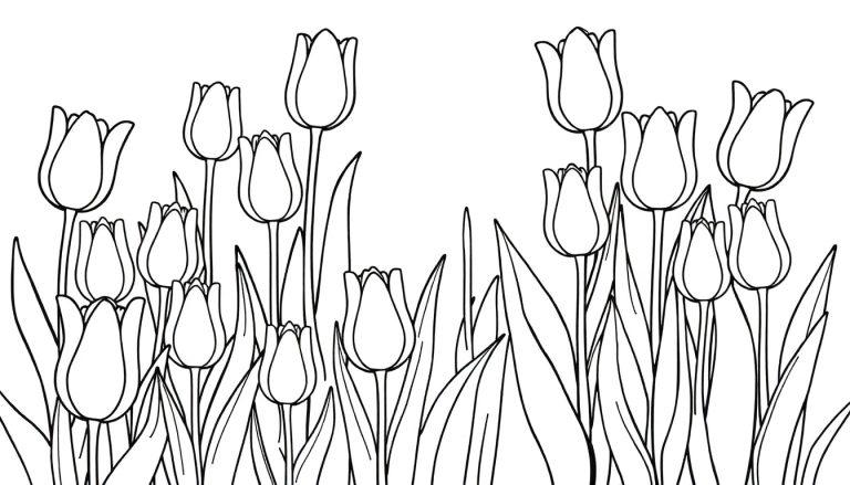 Schwarz-weiße Farbtafel-Zeichnung einer Gruppe von Tulpen auf schlanken Stielen mit spitzen Blättern.